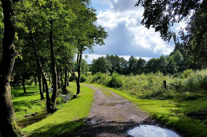 activiteiten ardennen